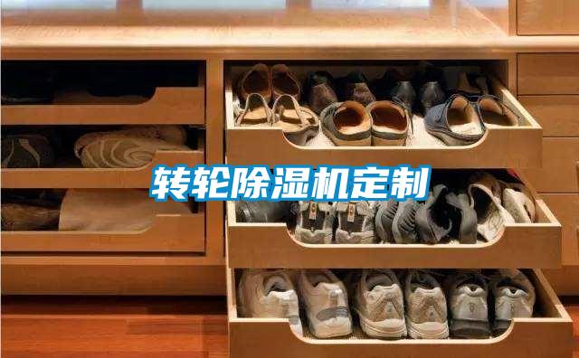 轉輪除濕機定制