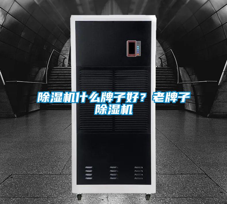 除濕機什么牌子好？老牌子除濕機