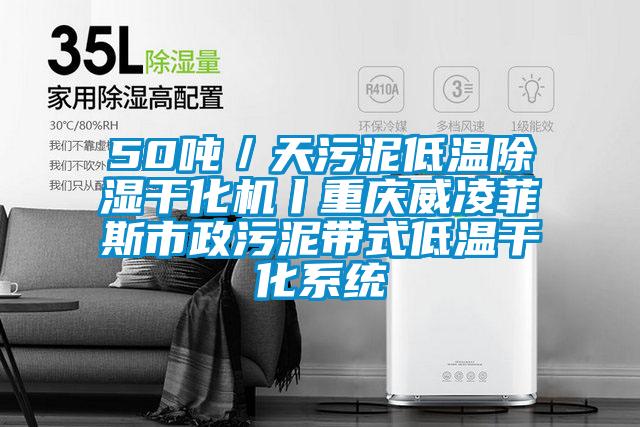 50噸／天污泥低溫除濕干化機丨重慶威凌菲斯市政污泥帶式低溫干化系統