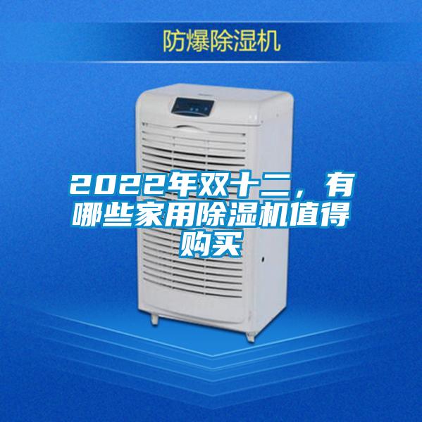 2022年雙十二，有哪些家用除濕機值得購買