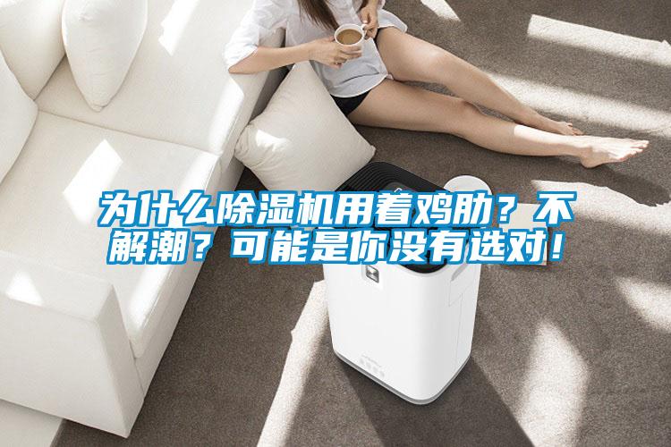 為什么除濕機(jī)用著雞肋？不解潮？可能是你沒有選對(duì)！