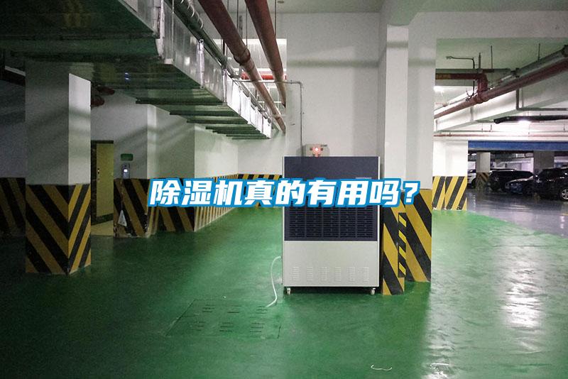 除濕機真的有用嗎？