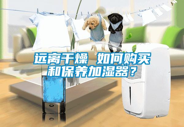 遠(yuǎn)離干燥 如何購買和保養(yǎng)加濕器？