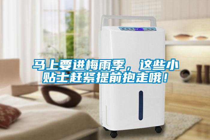 馬上要進(jìn)梅雨季，這些小貼士趕緊提前抱走哦！