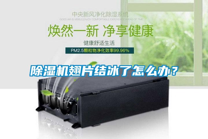 除濕機翅片結冰了怎么辦？