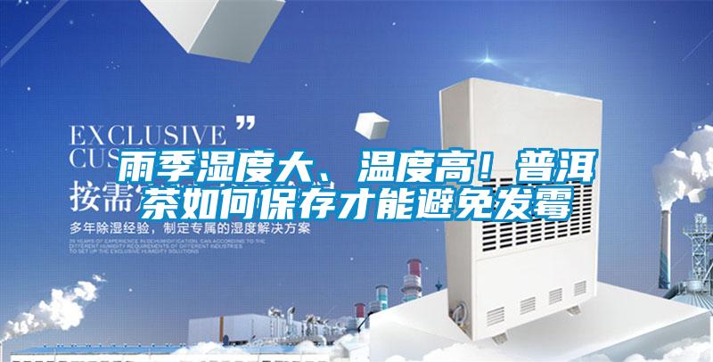 雨季濕度大、溫度高！普洱茶如何保存才能避免發(fā)霉