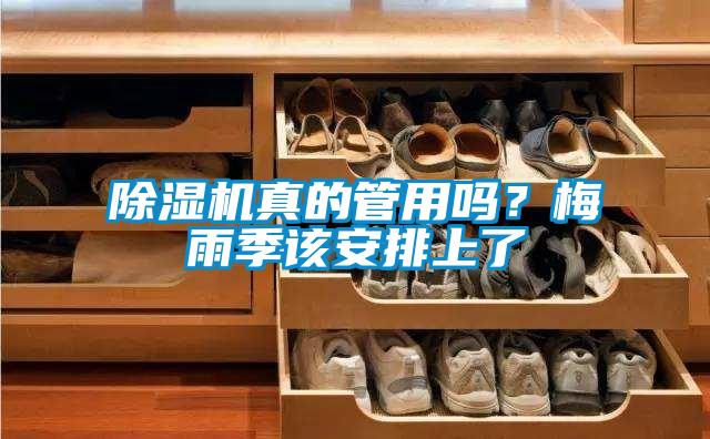 除濕機真的管用嗎？梅雨季該安排上了