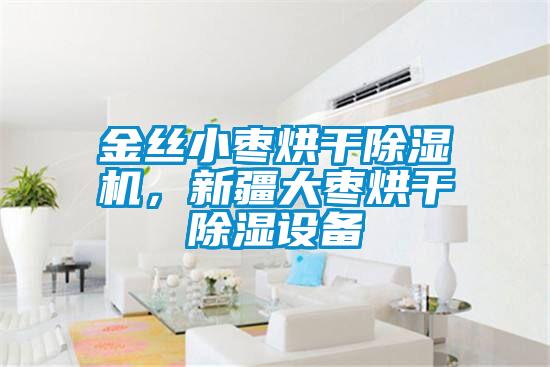 金絲小棗烘干除濕機，新疆大棗烘干除濕設(shè)備