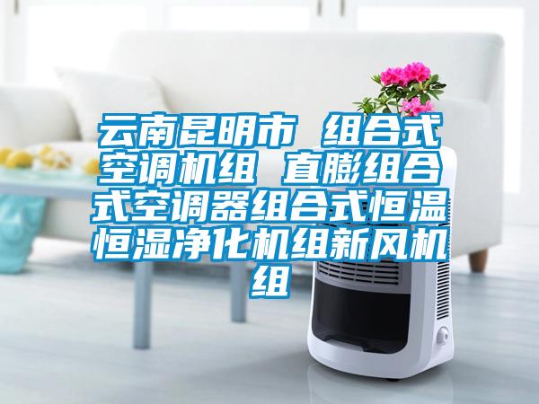 云南昆明市 組合式空調機組 直膨組合式空調器組合式恒溫恒濕凈化機組新風機組