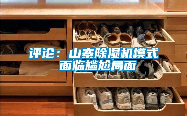 評(píng)論：山寨除濕機(jī)模式 面臨尷尬局面