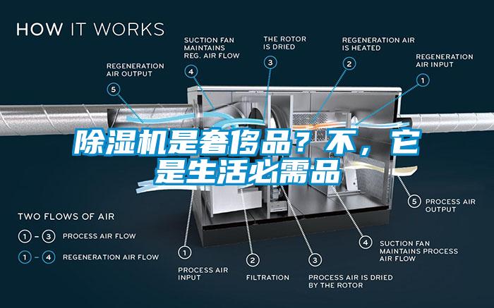 除濕機(jī)是奢侈品？不，它是生活必需品