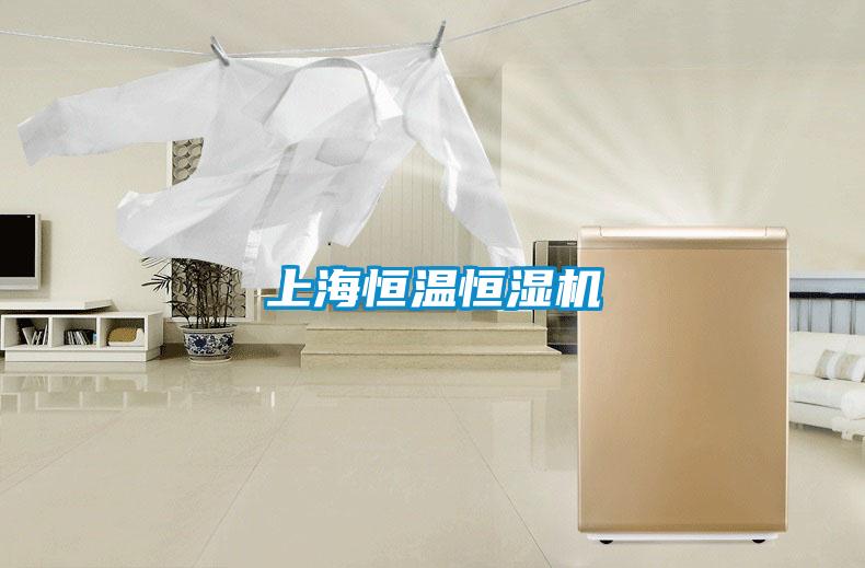 上海恒溫恒濕機(jī)