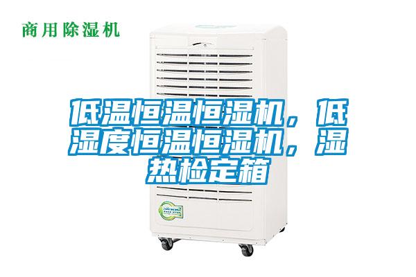 低溫恒溫恒濕機(jī)，低濕度恒溫恒濕機(jī)，濕熱檢定箱