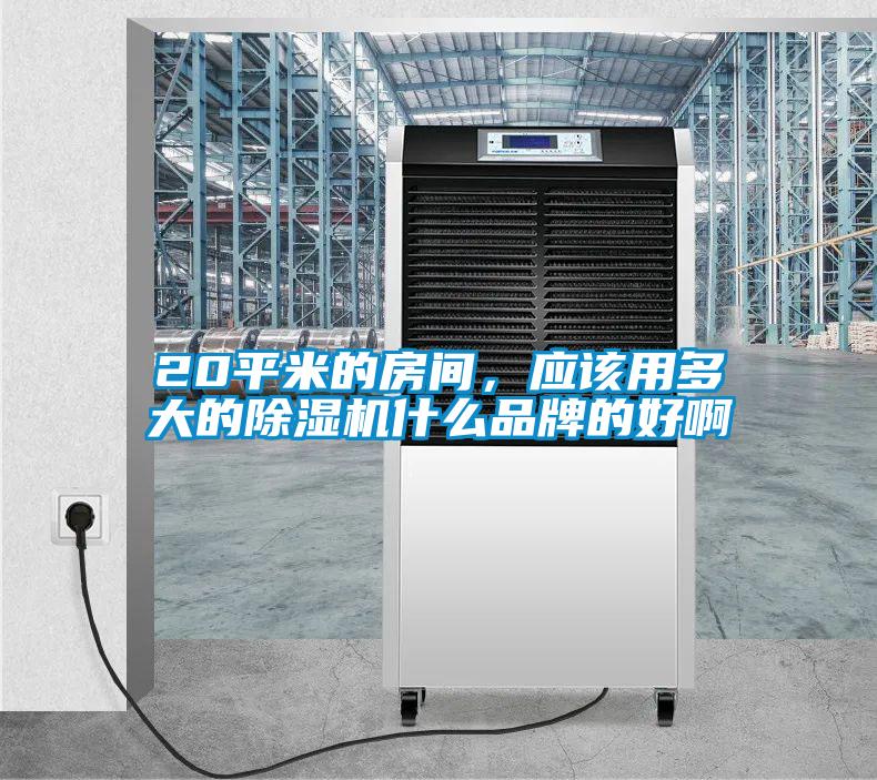 20平米的房間，應(yīng)該用多大的除濕機(jī)什么品牌的好啊