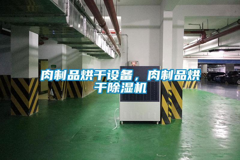 肉制品烘干設備，肉制品烘干除濕機