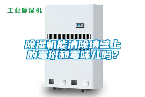 除濕機能清除墻壁上的霉斑和霉味兒嗎？