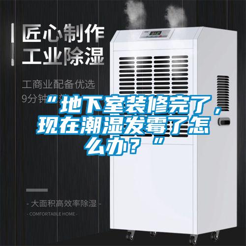 “地下室裝修完了，現在潮濕發霉了怎么辦？”