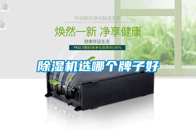 除濕機(jī)選哪個(gè)牌子好