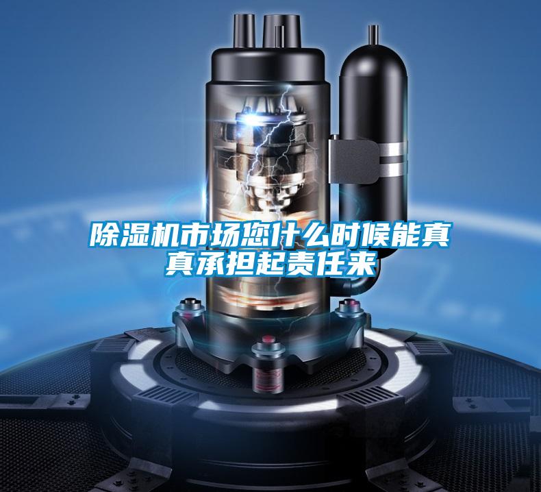除濕機市場您什么時候能真真承擔起責任來