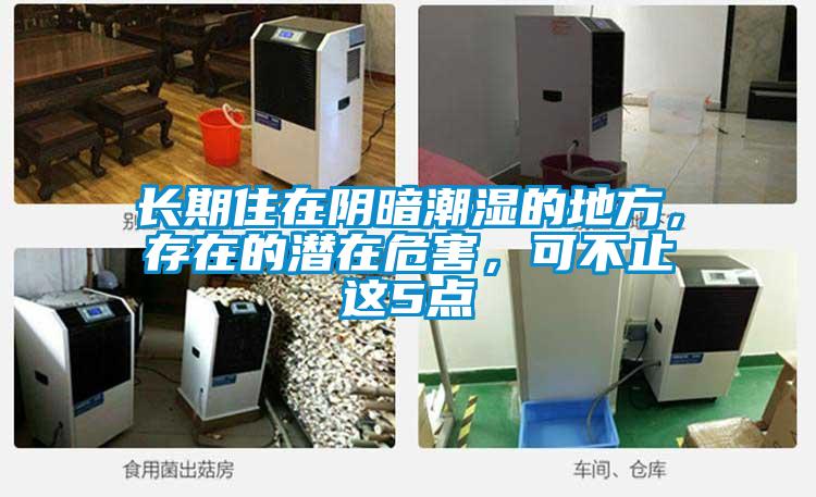 長(zhǎng)期住在陰暗潮濕的地方，存在的潛在危害，可不止這5點(diǎn)