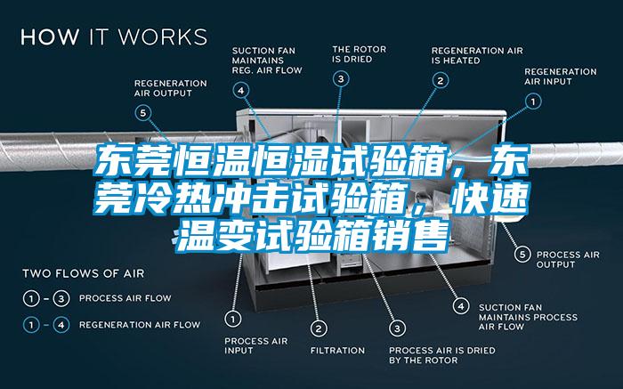 東莞恒溫恒濕試驗箱，東莞冷熱沖擊試驗箱，快速溫變試驗箱銷售