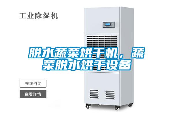脫水蔬菜烘干機，蔬菜脫水烘干設備