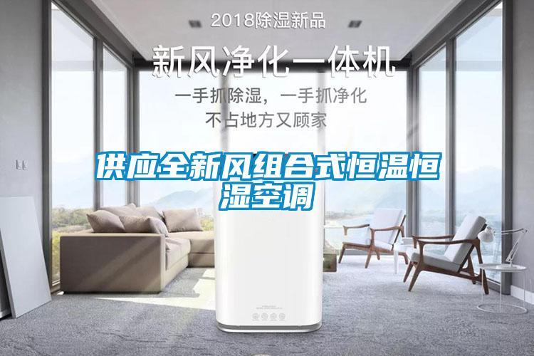 供應(yīng)全新風(fēng)組合式恒溫恒濕空調(diào)