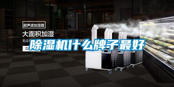 除濕機(jī)什么牌子最好