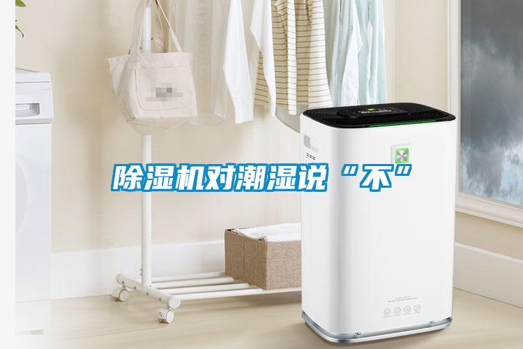 除濕機對潮濕說“不”