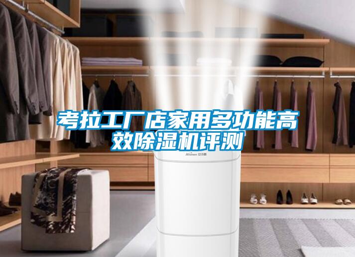 考拉工廠店家用多功能高效除濕機(jī)評(píng)測(cè)