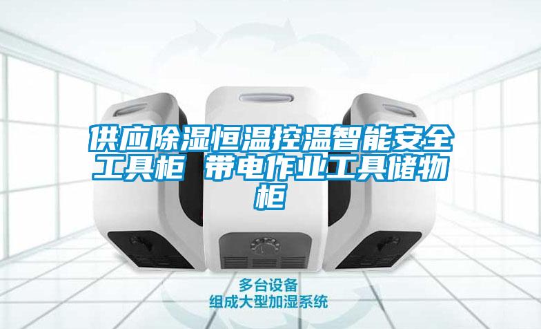 供應(yīng)除濕恒溫控溫智能安全工具柜 帶電作業(yè)工具儲物柜