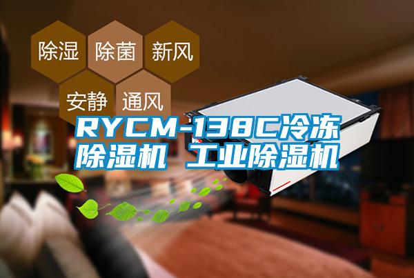 RYCM-138C冷凍除濕機 工業(yè)除濕機