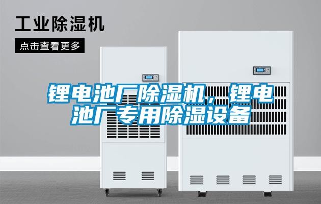 鋰電池廠除濕機(jī)，鋰電池廠專用除濕設(shè)備