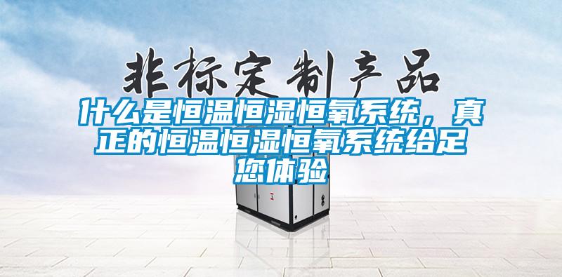 什么是恒溫恒濕恒氧系統，真正的恒溫恒濕恒氧系統給足您體驗