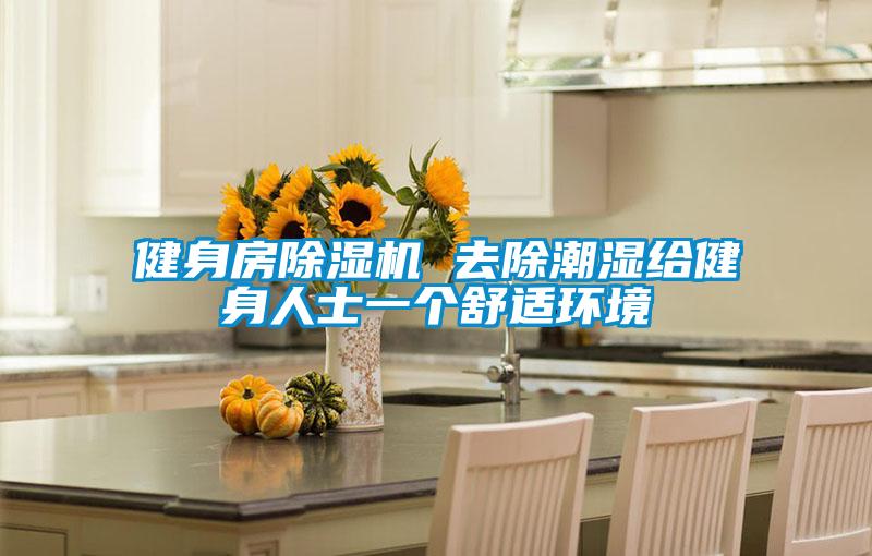 健身房除濕機(jī) 去除潮濕給健身人士一個舒適環(huán)境