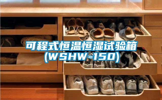 可程式恒溫恒濕試驗(yàn)箱(WSHW-150)