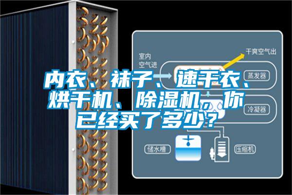 內(nèi)衣、襪子、速干衣、烘干機、除濕機，你已經(jīng)買了多少？