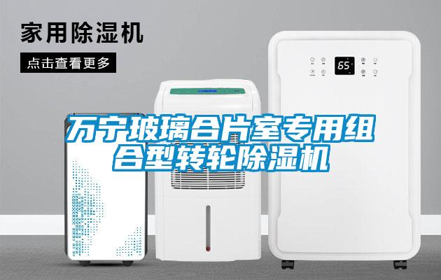 萬寧玻璃合片室專用組合型轉輪除濕機