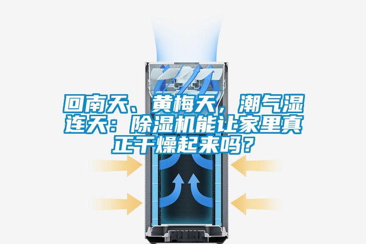 回南天、黃梅天，潮氣濕連天：除濕機能讓家里真正干燥起來嗎？