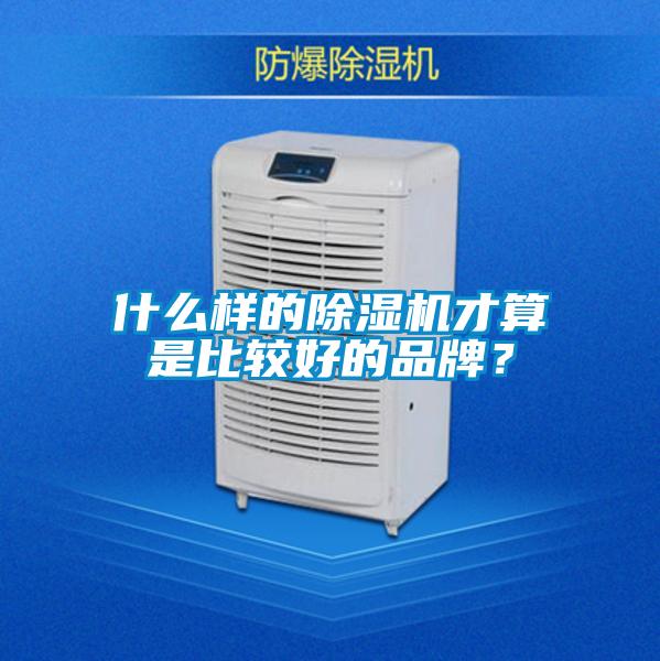 什么樣的除濕機才算是比較好的品牌？