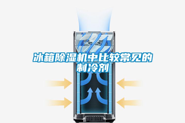 冰箱除濕機(jī)中比較常見(jiàn)的制冷劑