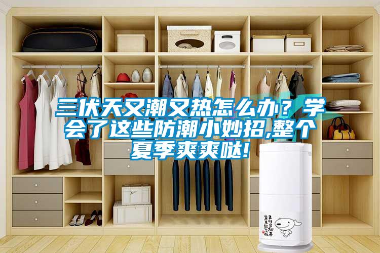 三伏天又潮又熱怎么辦？學會了這些防潮小妙招,整個夏季爽爽噠!
