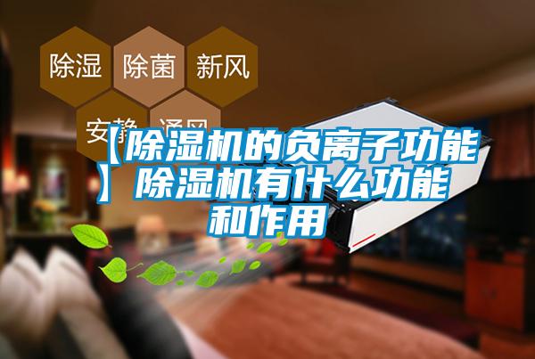 【除濕機(jī)的負(fù)離子功能】除濕機(jī)有什么功能和作用