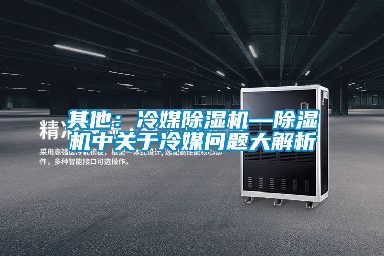 其他：冷媒除濕機—除濕機中關于冷媒問題大解析