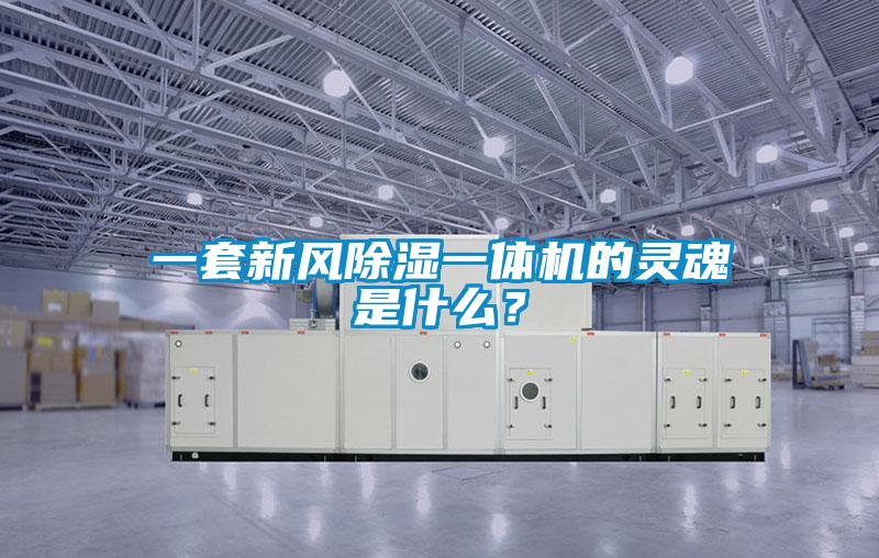 一套新風(fēng)除濕一體機(jī)的靈魂是什么？