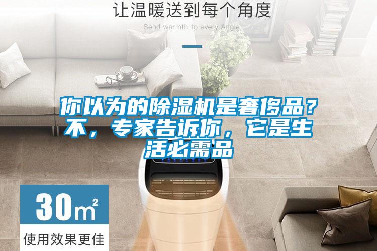 你以為的除濕機是奢侈品？不，專家告訴你，它是生活必需品