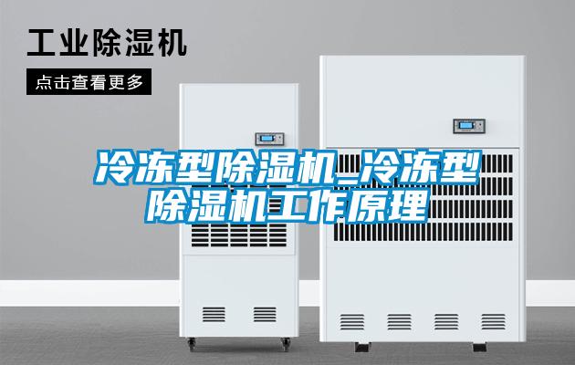 冷凍型除濕機_冷凍型除濕機工作原理