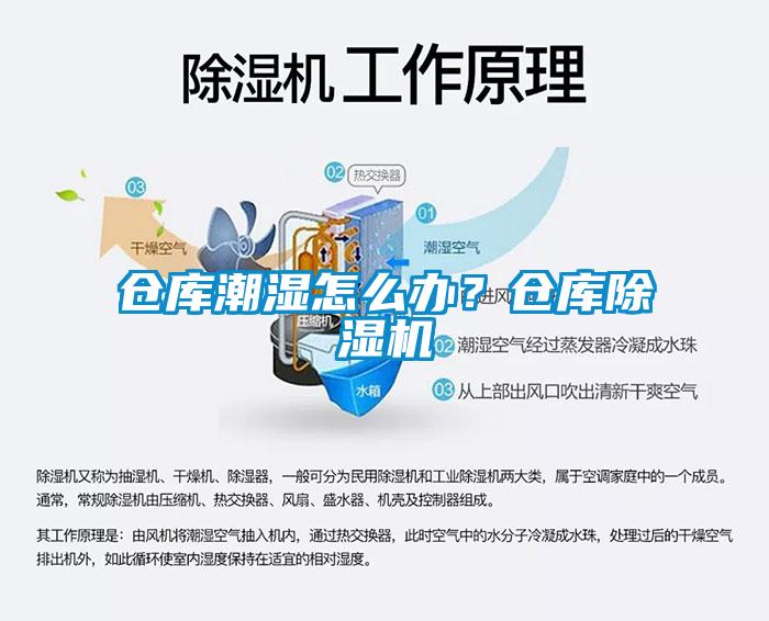 倉庫潮濕怎么辦？倉庫除濕機