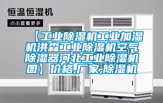 【工業除濕機工業加濕機洪森工業除濕機空氣除濕器河北工業除濕機圖】價格,廠家,除濕機