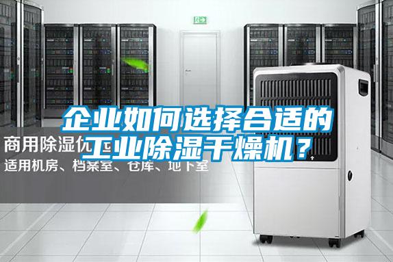 企業如何選擇合適的工業除濕干燥機？
